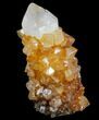 Sunshine Cactus Quartz Crystal - South Africa #80213-1